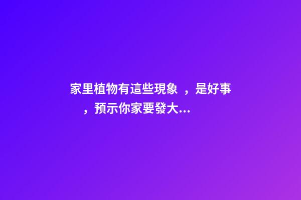 家里植物有這些現象，是好事，預示你家要發大財了！